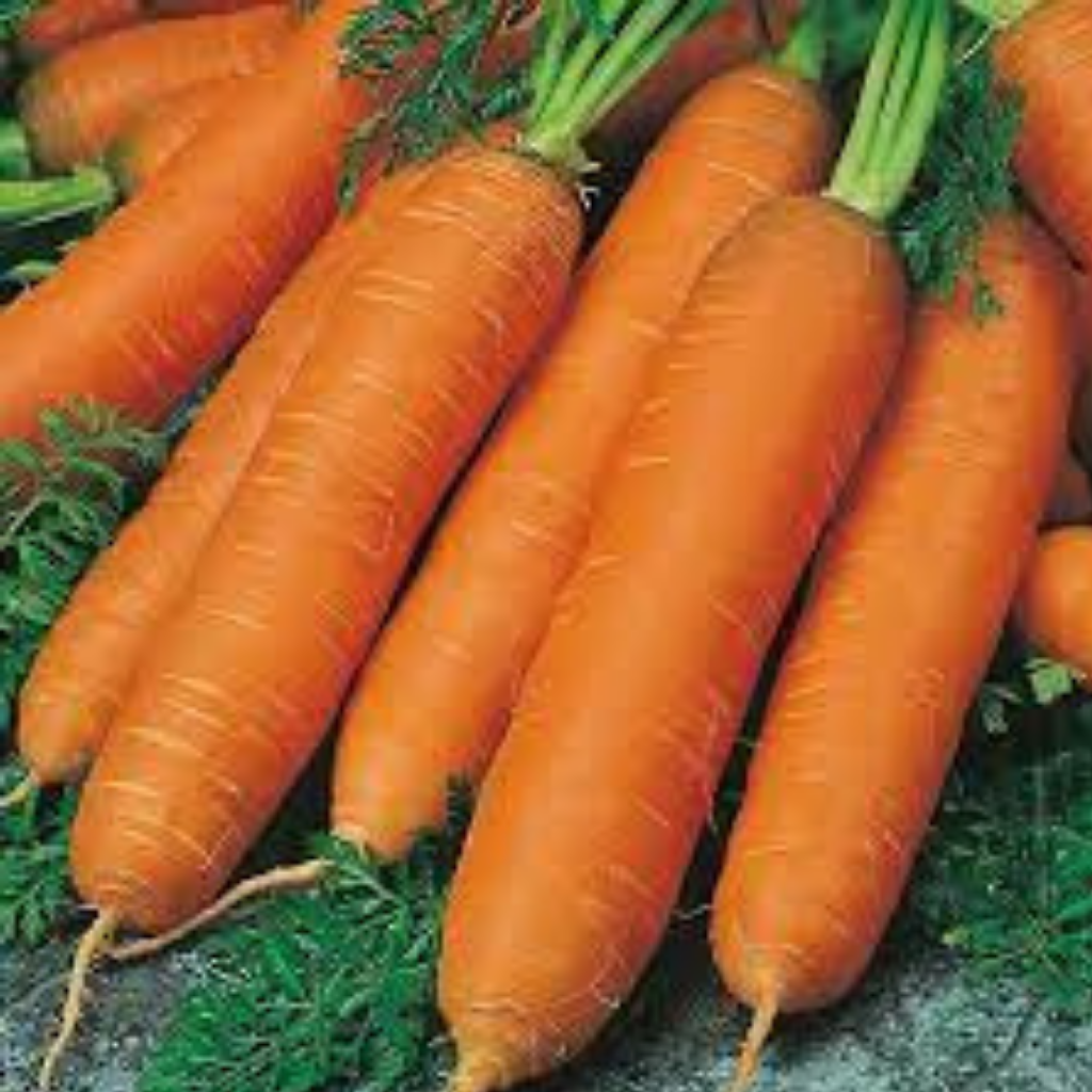 Flyaway (Nantes Carrot)