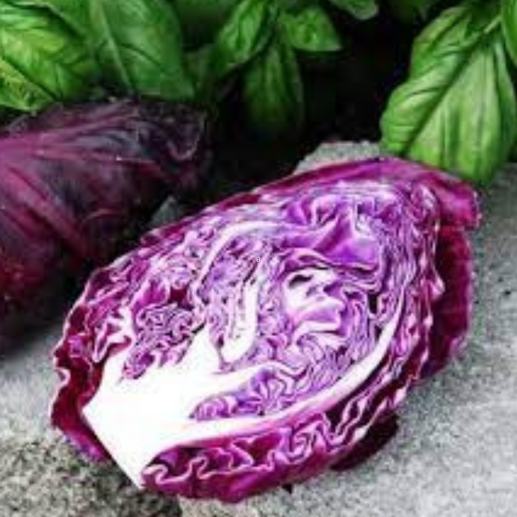 Cabbage