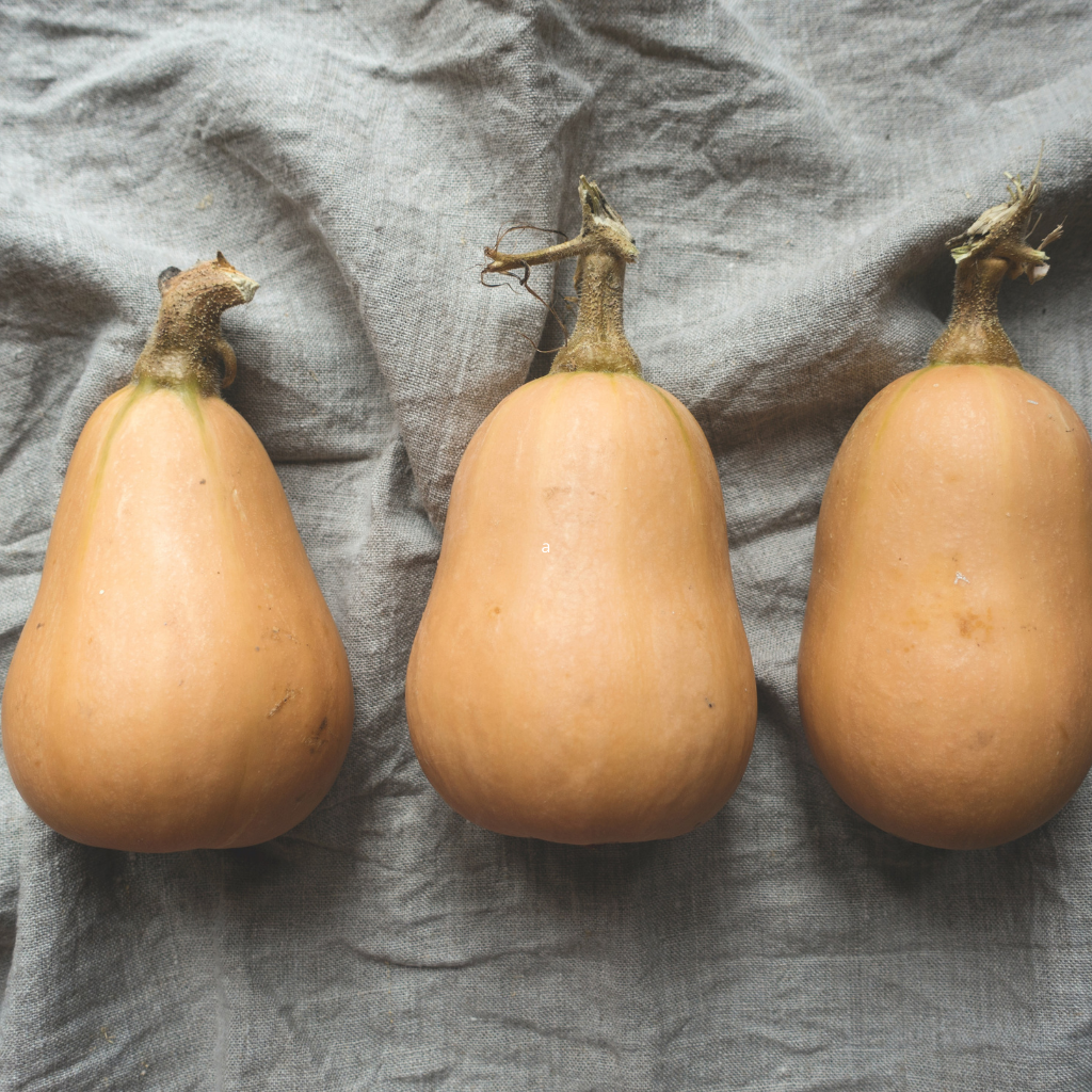 Victory Early Butternut