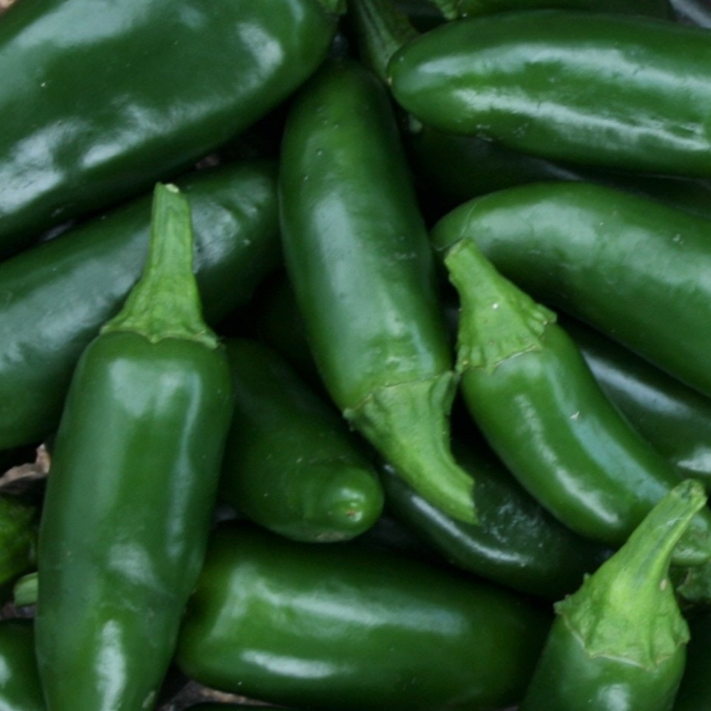 Jalapeno